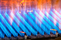 Bartington gas fired boilers